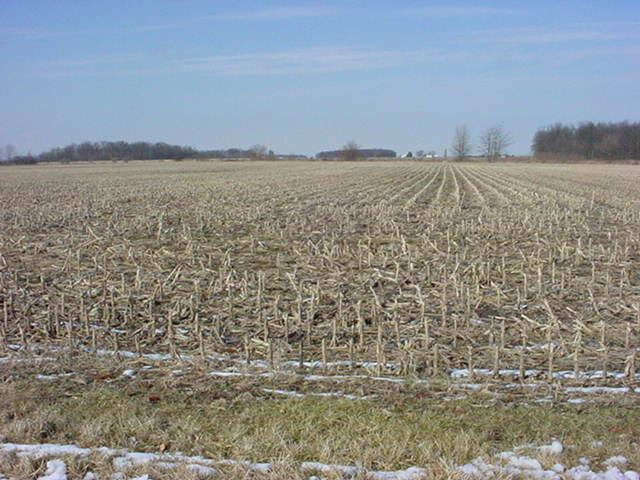 van-wert-county-harrison-twp-pancake-aka-ritchey-reidenbach-cemetery-OH-CO-2 (61K)